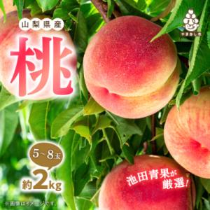 【2026年発送】 桃 約2kg (5玉~8玉) 厳選 ! 池田青果の もも