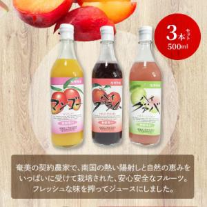 ふるさと納税 奄美市 奄美のとれたてトロピカル...の詳細画像1