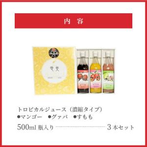 ふるさと納税 奄美市 奄美のとれたてトロピカル...の詳細画像3