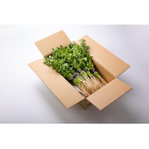 アイテムID:364002の画像1枚目