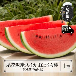 【先行受付】尾花沢産スイカ 紅まくら極 7kg以上 1玉 令和8年産 観光物産 kb-submk1