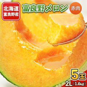 2026年先行予約 富良野メロン　2Lサイズ(1.6kg)赤肉　5玉入り