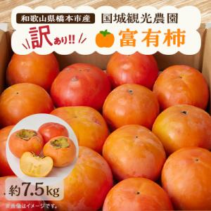 国城観光農園の富有柿(家庭用・訳あり)約7.5kg