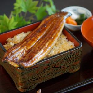 ふるさと納税 浜松市 浜名湖産　鰻の蒲焼き2本セット(約130g×2本)