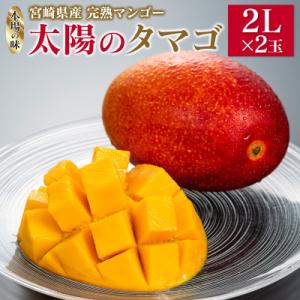 ふるさと納税 新富町 宮崎県産完熟マンゴー「太陽のタマゴ」2Lサイズ×2個