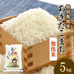 令和7年産　特別栽培米あきたこまち　無洗米5kg