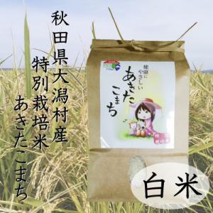 ふるさと納税 大潟村 令和5年度産米　特別栽培米あきたこまち　白米2kg