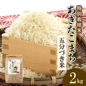 ふるさと納税 大潟村 令和5年度産米　特別栽培米あきたこまち　五分づき米2kg