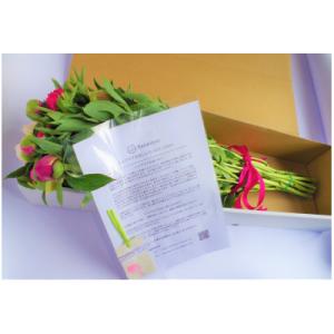 ふるさと納税 中野市 シャクヤク切花 2品種8本入りの詳細画像2