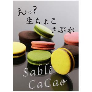 ふるさと納税 安城市 デ・レーヴのサブレ・カカオ　8個入