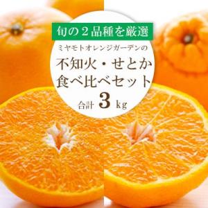 【先行受付】人気2品種をセットに!せとか・不知火 食べ比べ 合計3kg【訳あり】【G25-141】