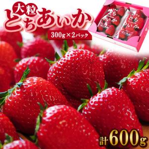 【春イチゴ】 大粒『とちあいか』(300g×2パック)