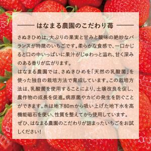 ふるさと納税 いちご 東かがわ市 はなまる農園...の詳細画像1