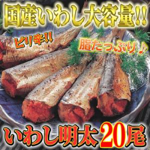 ふるさと納税 芦屋町 ピリ辛　いわし明太　大容量20尾　福岡名物の辛子明太子をイワシに詰め込みました...