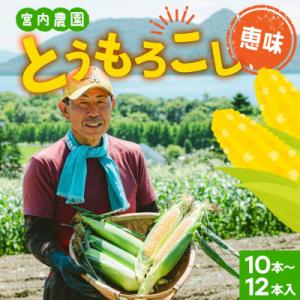 ＜先行受付＞北海道産 朝採れ とうもろこし 恵味 めぐみ 2L 10～12本 2026年7月下旬～
