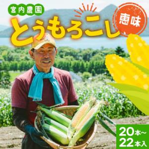 <先行予約>北海道産 朝採れ とうもろこし 恵味 めぐみ 2L 20～22本 2026年7月下旬～