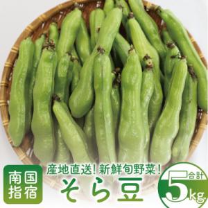 2025年3月上旬頃～発送【産地直送!新鮮旬野菜!】ご家庭用そら豆約5kg(A-414)