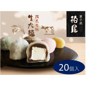 御菓子司柏屋の看板製品　生大福　20個入