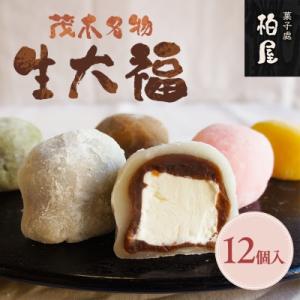 御菓子司柏屋の看板製品　生大福　12個入