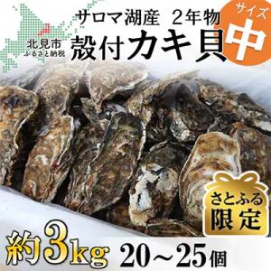ふるさと納税 北見市 【さとふる限定】【2026年発送】サロマ湖産殻付き2年牡蠣　中　約3kg(約2...