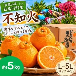 【貯蔵熟成】プリッとした食感　どの坂果樹園　不知火5kg(L～5Lサイズ中心)　/和歌山県日高川町産
