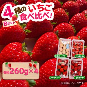 4種のいちご食べ比べ!とちおとめ,スカイベリー,ミルキーベリー,とちあいかのBセット[各約260g]