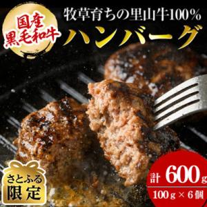 【さとふる限定】国産黒毛和牛 牧草育ちの里山牛100%使用!手作りハンバーグ600g(100g×6)