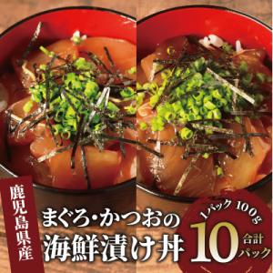 ふるさと納税 指宿市 まぐろ・かつおの海鮮漬け丼セット100g×10パック(山川町漁協)A-419