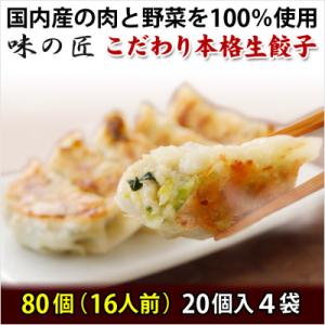 ふるさと納税 塩竈市 こだわり本格生餃子80個(16人前)　｜y-sf