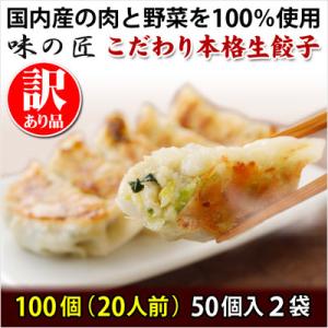 【訳あり品】こだわり本格生餃子100個(20人前)