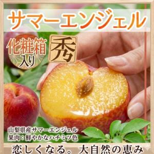 【2026-06-30～発送開始】すもも[希少品種]サマーエンジェル「夏の天使〕精選大玉約1.5kg