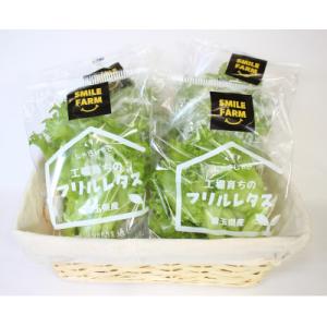 【栽培期間中農薬不使用】洗わず食べられる!フリルレタス 100g程度 個包装×8個