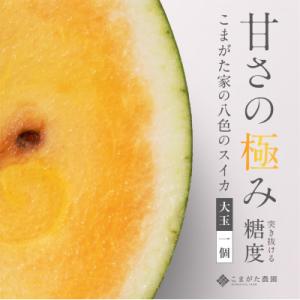 糖度日本一授賞 金色羅皇 高級南魚沼八色産黄色スイカ「こまがた家の八色のスイカ」プレミアム大玉 1玉