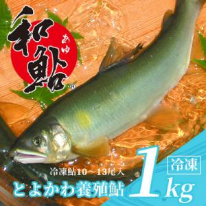 【とよかわ鮎】鮎 (あゆ) 冷凍 1kg 厳選鮎使用!(急速冷凍)