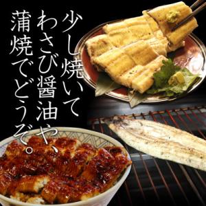 ふるさと納税 西尾市 三河のうなぎ白焼き大サイ...の詳細画像1