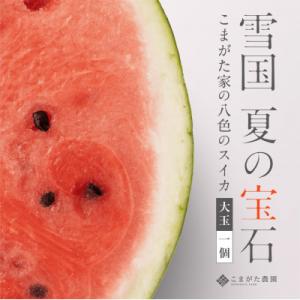 【2026年7月下旬発送予定】高級南魚沼八色産スイカ「こまがた家の八色のスイカ」プレミアム大玉 1玉