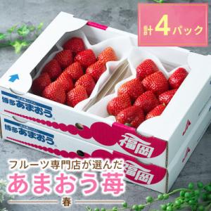 ふるさと納税 阿南市 冷凍いちご (徳島産) 1000g (250g×4) 冷凍 ふるさと納税 阿南市 冷凍いちご (徳島産) 1000g (250g×4) 冷凍
