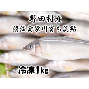 野田村産　清流安家川育ちの美鮎　1kg