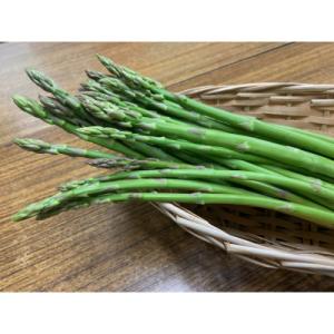 訳ありアスパラガス(さぬきのめざめロング)夏芽1kg
