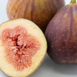【先行受付】ふくおか産いちじく・とよみつひめ4パック(筑紫野市)