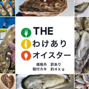 ふるさと納税 厚岸町 THE訳ありオイスター　規格外訳あり殻付かき(マルえもん)　約4kg