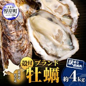 ふるさと納税 厚岸町 【通年出荷】THE訳ありオイスター 約4kg 北海道厚岸産ブランド牡蠣 「マル...