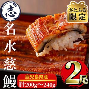 【さとふる限定】鹿児島県産うなぎ蒲焼　2尾(合計200g～240g)