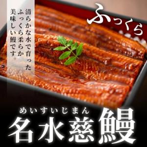 ふるさと納税 志布志市 【さとふる限定】鹿児島...の詳細画像1