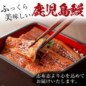 ふるさと納税 志布志市 【さとふる限定】鹿児島...の詳細画像2