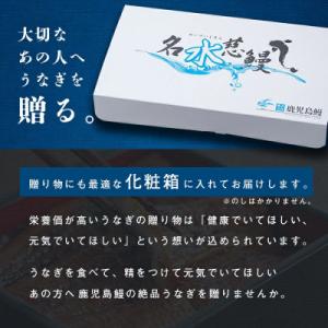 ふるさと納税 志布志市 【さとふる限定】鹿児島...の詳細画像3