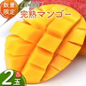 ふるさと納税 新富町 【南国宮崎県産】完熟マンゴー3L×2個