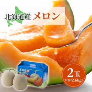 【先行受付】2026年7月下旬以降　北海道産赤肉メロン完熟糖度16度2玉合計約2.6kg_01586
