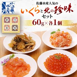 ふるさと納税 石狩市 ＜ 佐藤水産 ＞ いくら と北の珍味セット