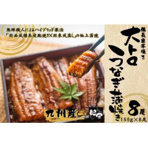 ふるさと納税 鹿屋市 鯉家の蒲焼 「大トロうなぎ蒲焼(8尾)」 【国産・手焼き備長炭】1701-1